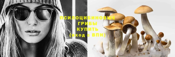 a pvp Нязепетровск