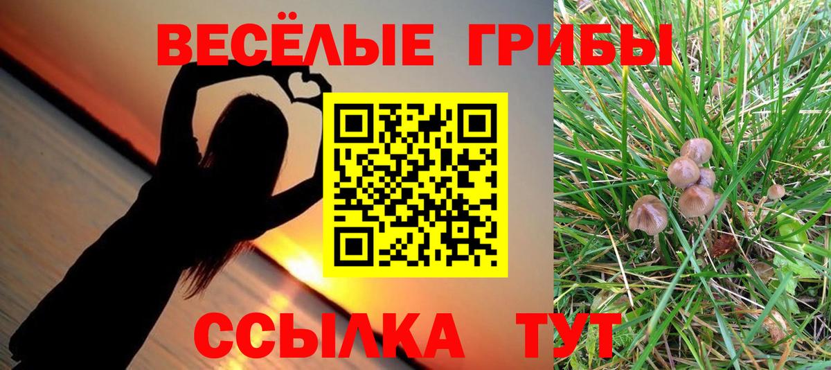 Галлюциногенные грибы GOLDEN TEACHER  Вход с VPN  купить закладку  Унеча 