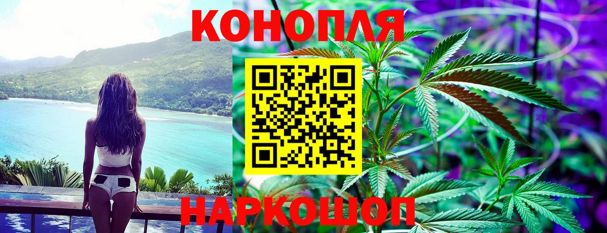 Шишки марихуана план  Каннабис LSD WEED  Конопля конопля  Каннабис гибрид  Вход с VPN  Унеча 